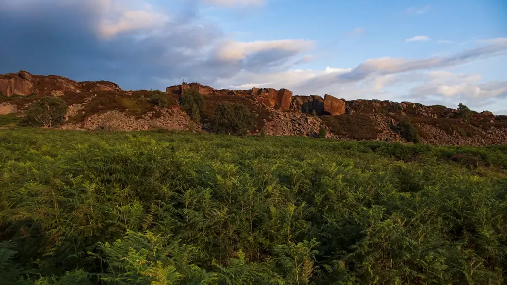 Evening sunlight warmly illuminates the rocks of Burbage Rocks. Thick bracken lines the moorland below the edge.
