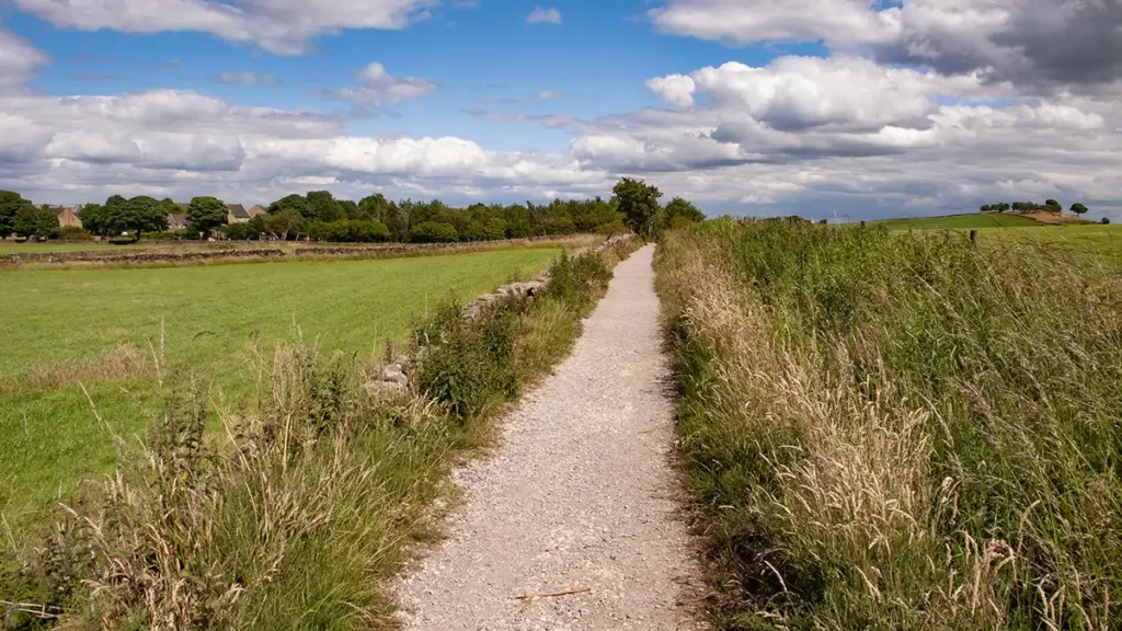 A straight gravel footpath passes between two fields with a drystone wall on the left. Long grasses line each side of the path. Trees and resedential buildings are seen in the distance.