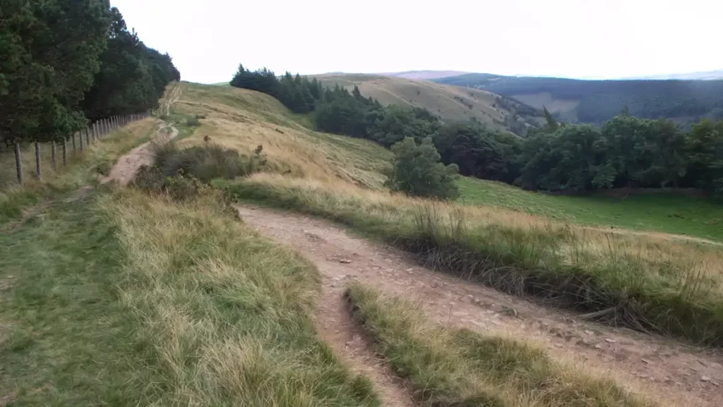 A rutted bridleway runs alongside the plantation above Derwent Valley