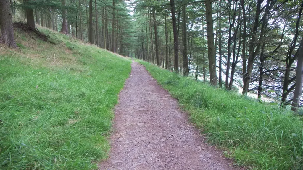 The easy-going Ladybower Walk trail alongside the reservoir heads through trees along the west bank